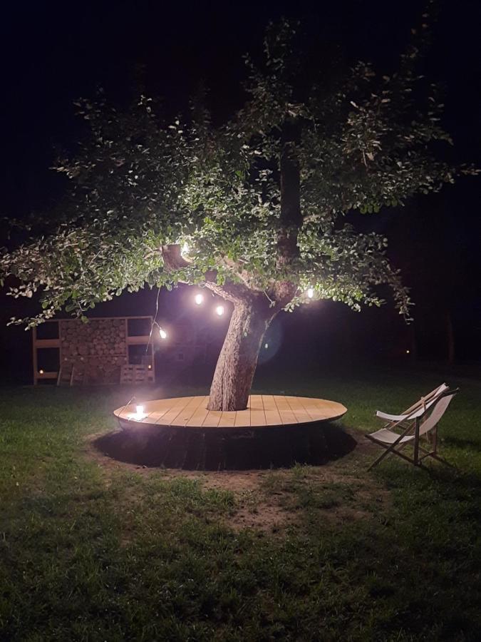 Dom Miodu I Wina * Muszyna